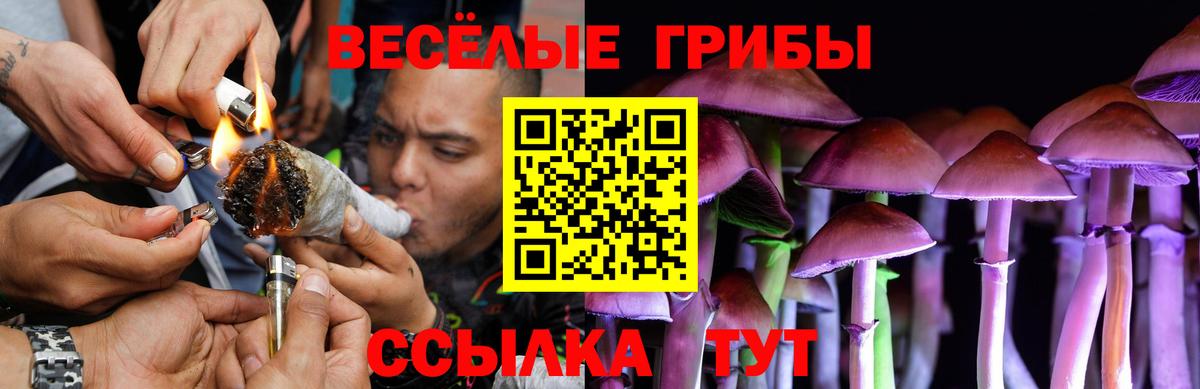 Щёкино  магазин  наркотиков  Вход с VPN  Галлюциногенные грибы GOLDEN TEACHER 